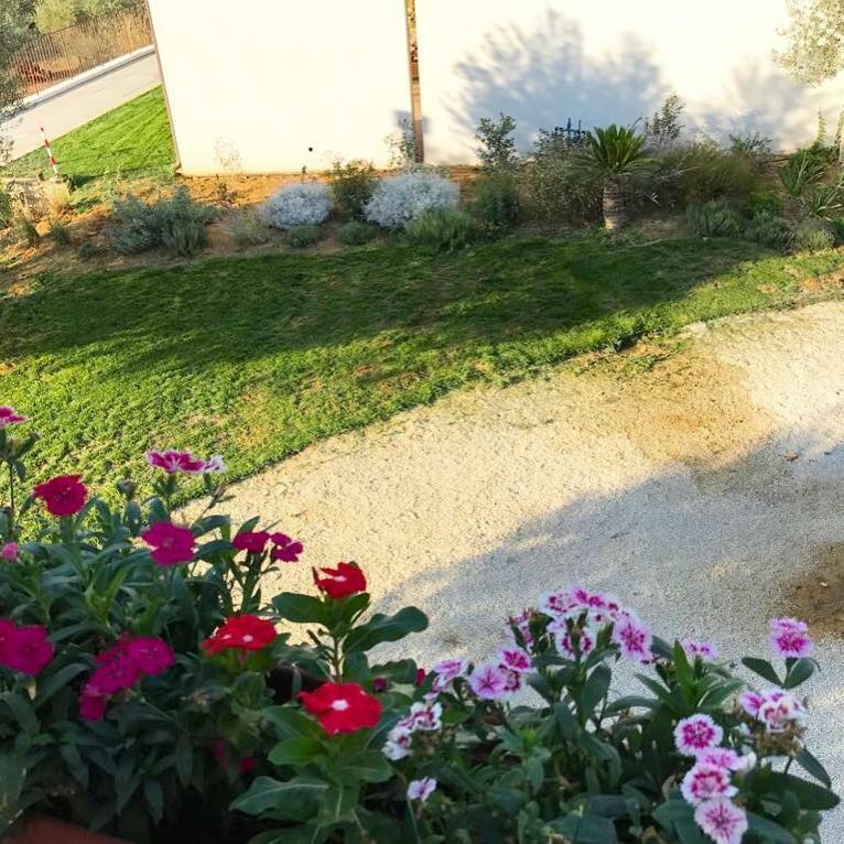 Uliwood Hotel Caltanissetta Exterior foto